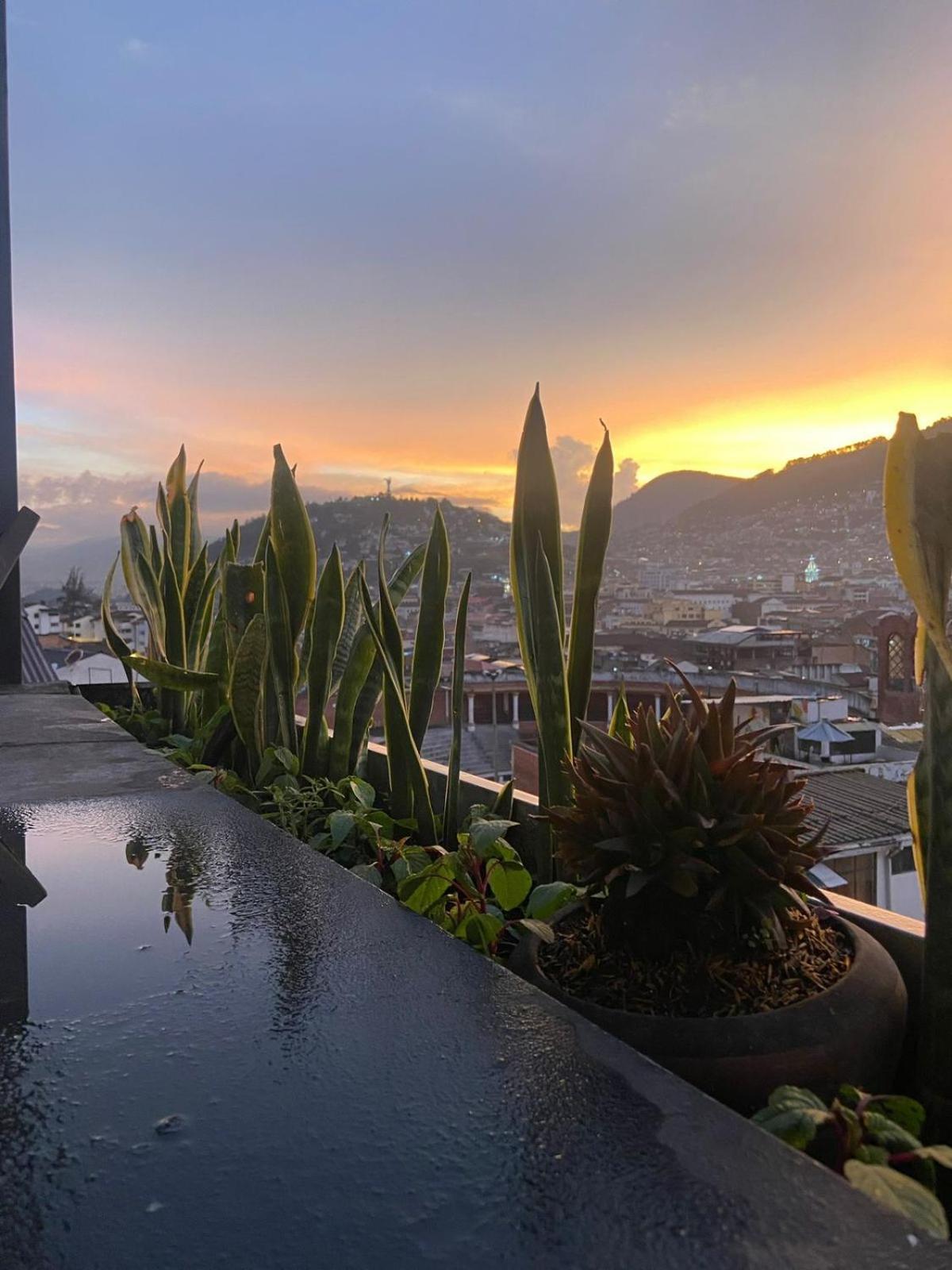 Hostal La Guayunga Rooftop Quito Ngoại thất bức ảnh